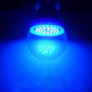 Indoor and Outdoor Insecticidal Lamp